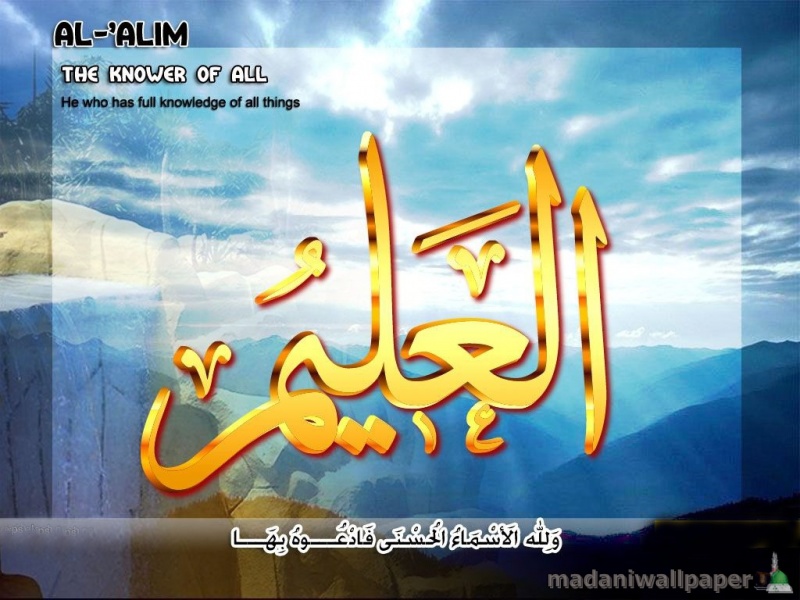 Name Of Allah 3d Wallpaper Nature