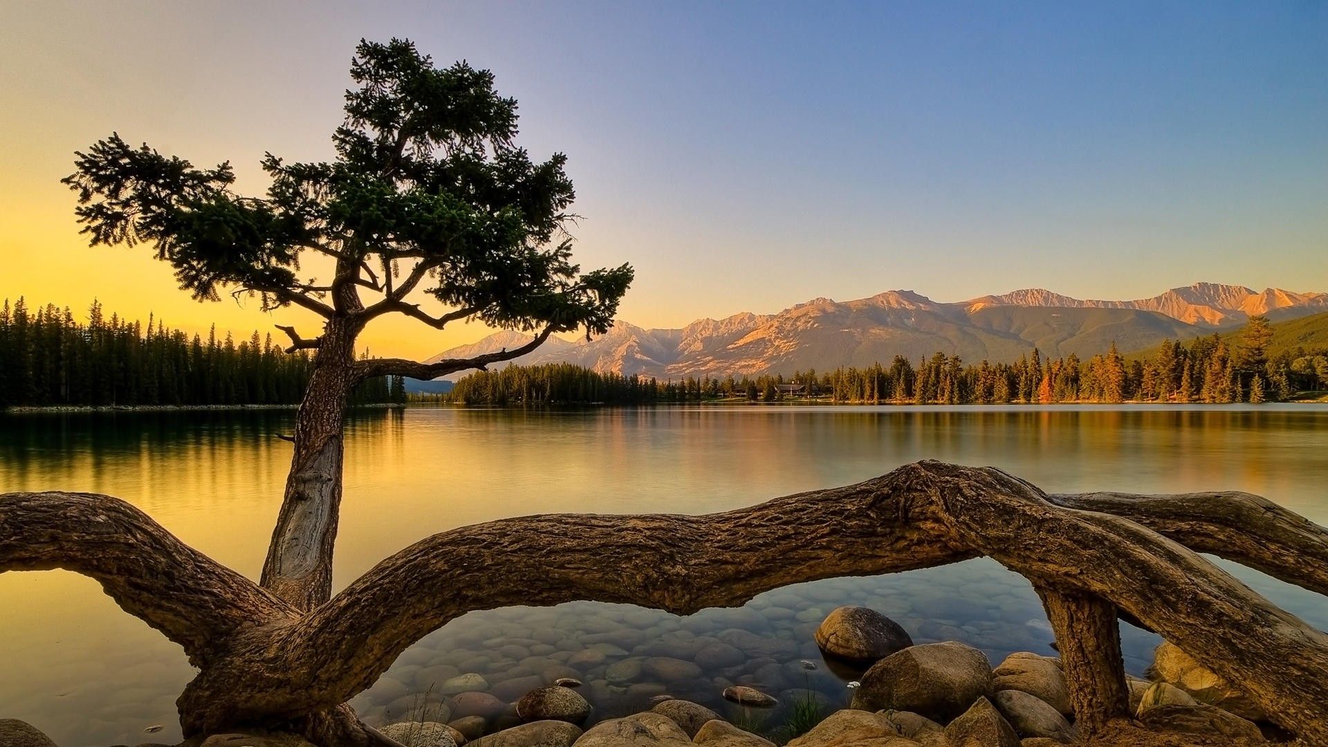 Minimalist Nature Wallpaper Photography