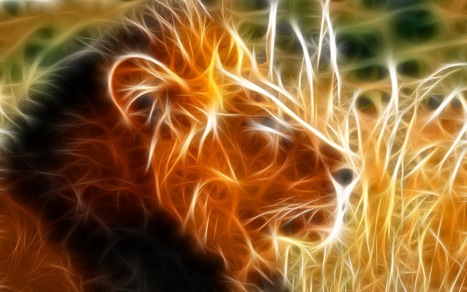 Wallpaper Box Abstract Lion HD Background