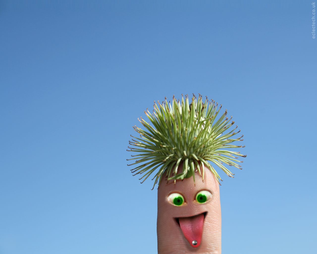 Silly Desktop Wallpaper