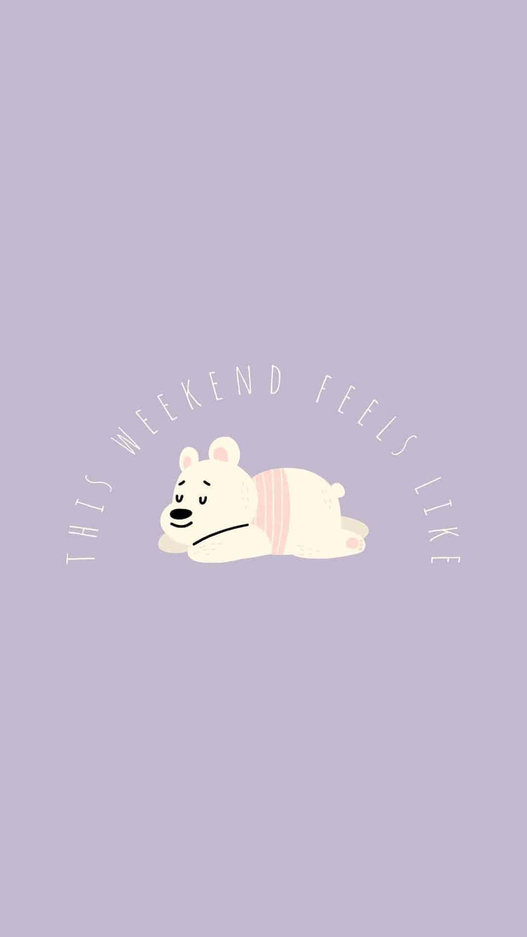 Cute Animal iPhone Wallpaper