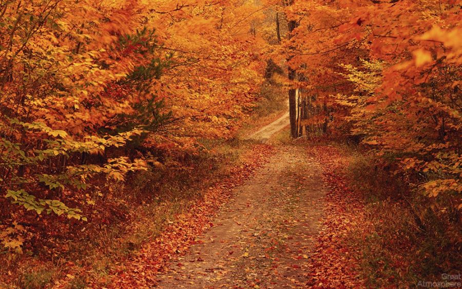 Amazing Landscape Scenery Wallpaper New England Autumn Great
