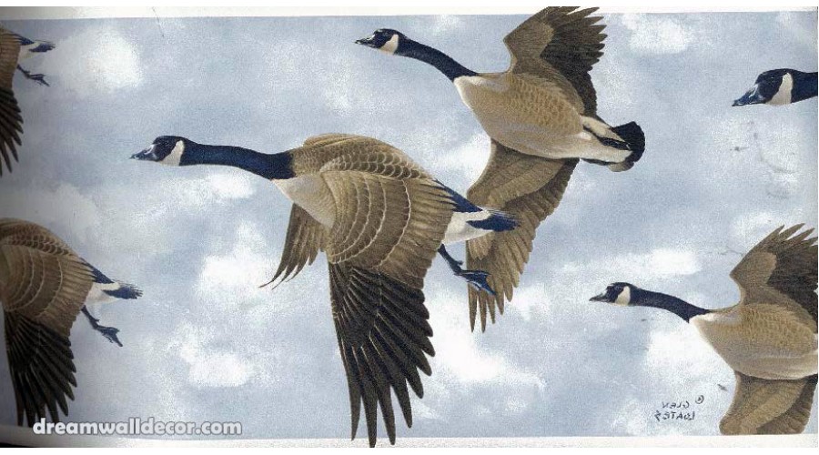 Home GLEN LOATES CANADIAN GEESE Wallpaper Border