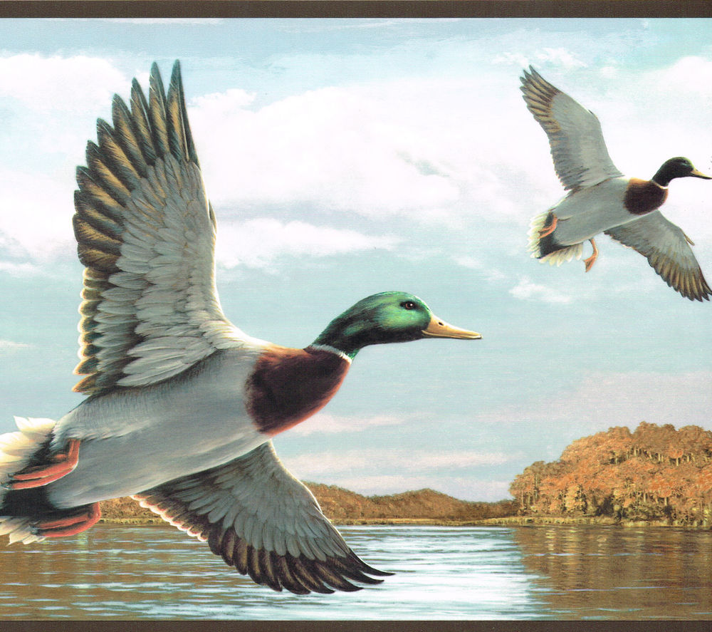 Mallard Ducks On Their Way Down South For The Winter Brn Wallpaper