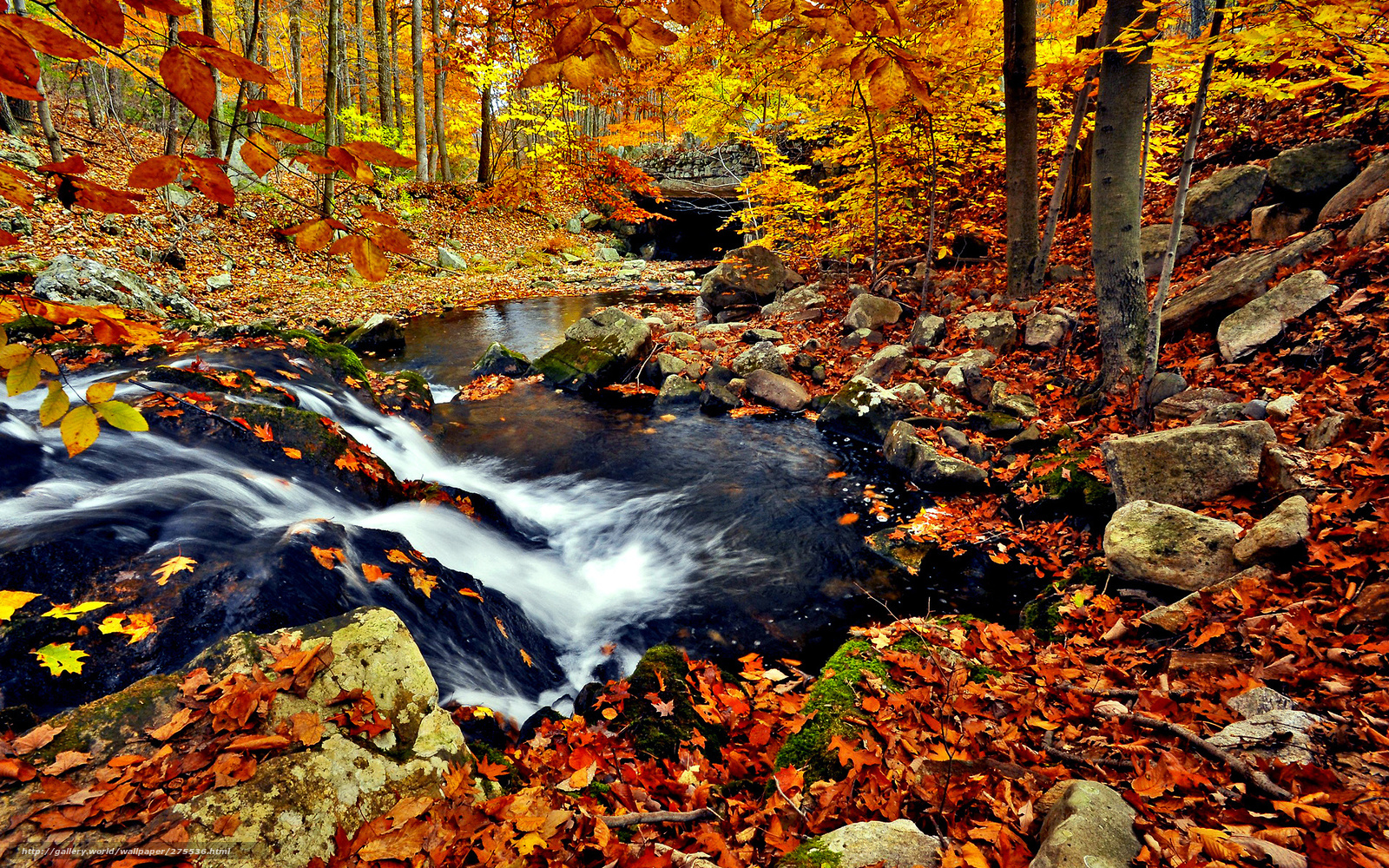 Download wallpaper autumn creek waterfall free desktop wallpaper in