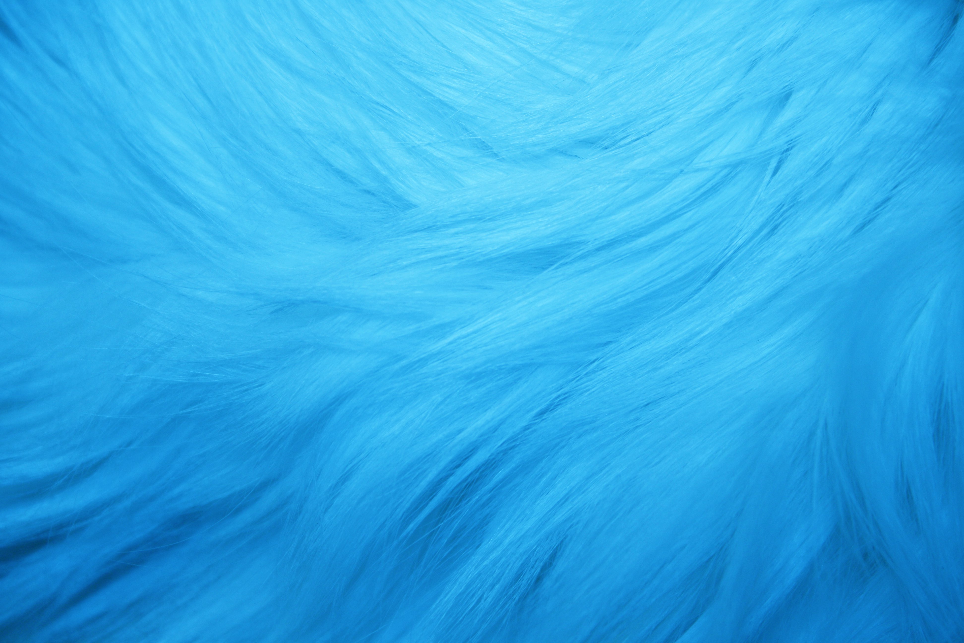 Light Blue Fur Texture High Resolution Photo Dimensions