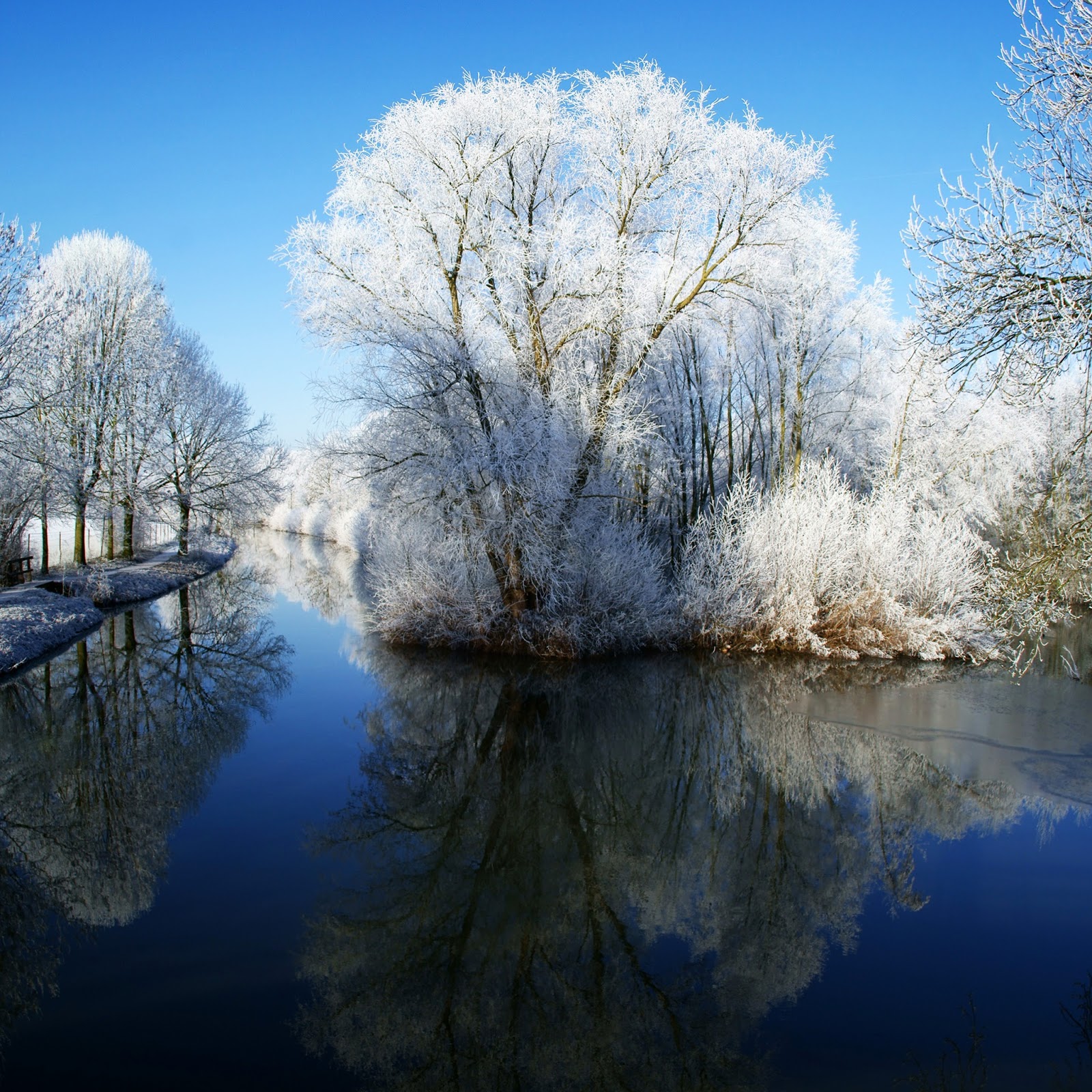 Winter Themed HD Wallpaper For iPad Gadgets Apps And