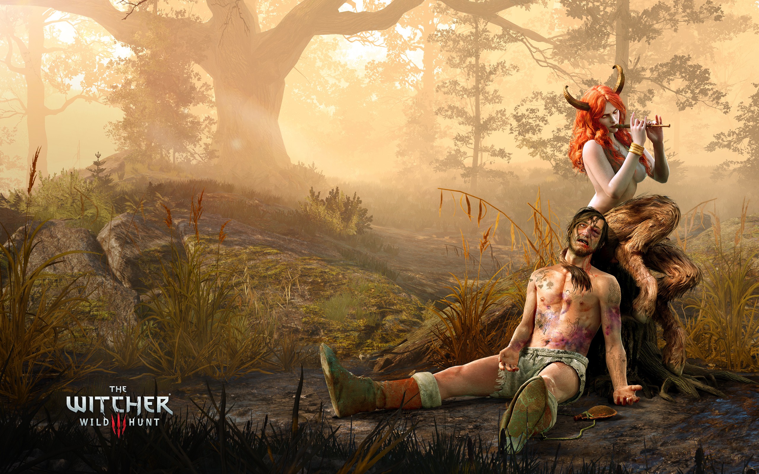 Game The Witcher Wild Hunt HD Image New Wallpaper