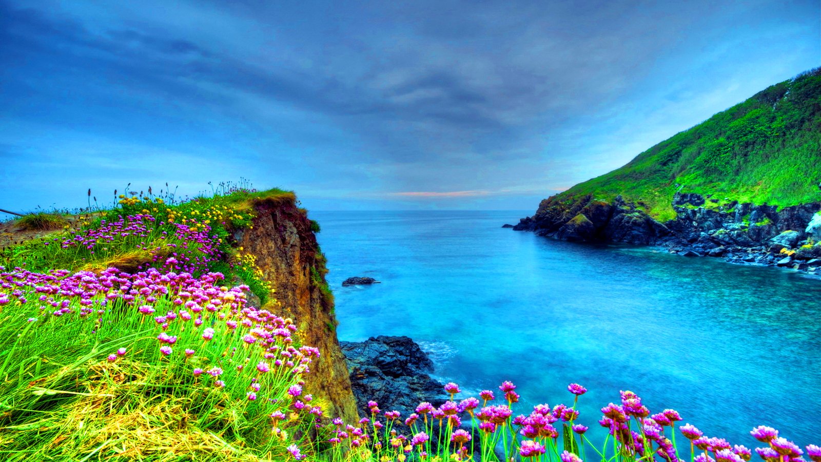 Vivid coastal landscape with vibrant flowers and turquoise water