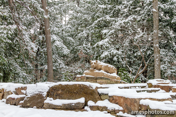 William Ames Photography Penn State Photos New Nittany Lion In
