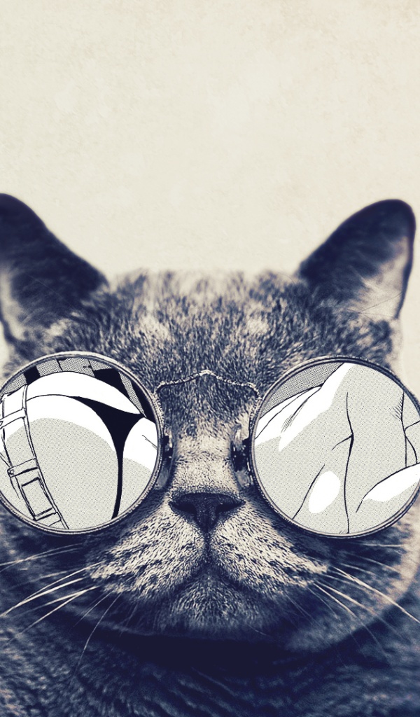 Round Glasses Cute Cat Galaxy Tab Wallpaper