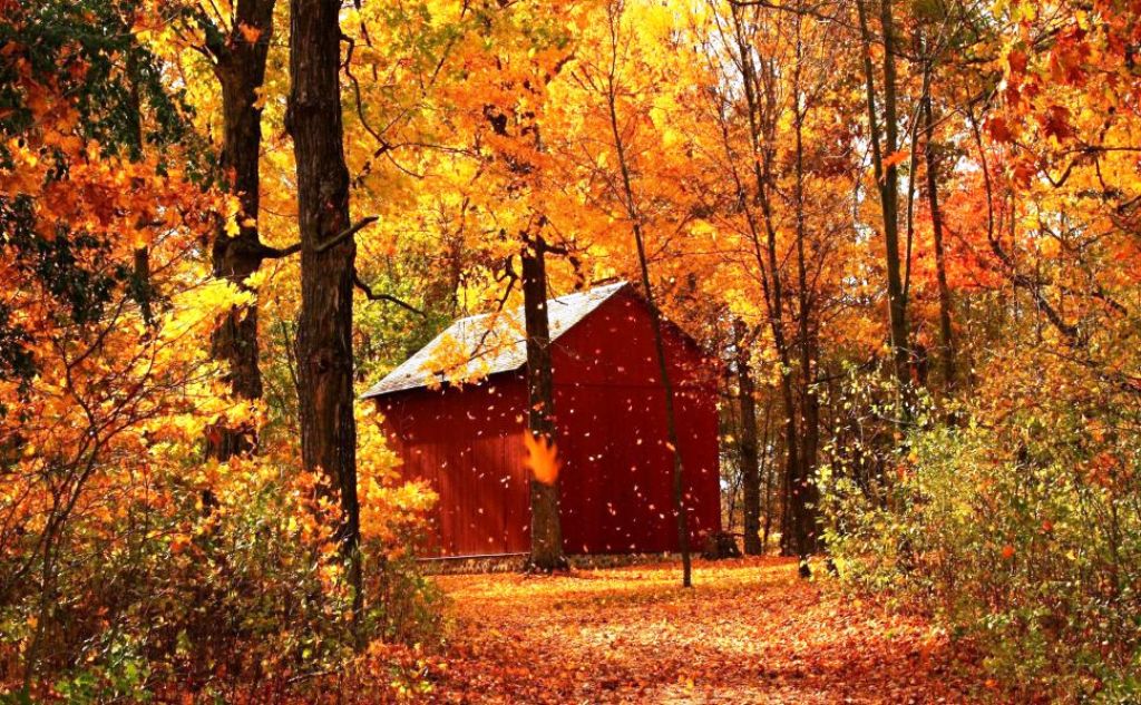Beautiful Autumn Wallpaper Ideas For You Inspired Luv
