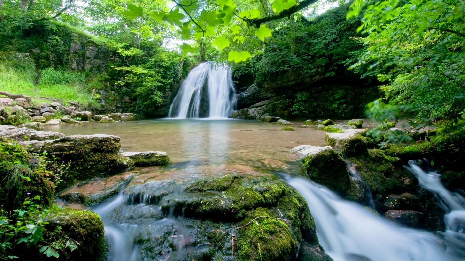 Outstanding Spring Forest Waterfall Desktop iPhone Wallpaper
