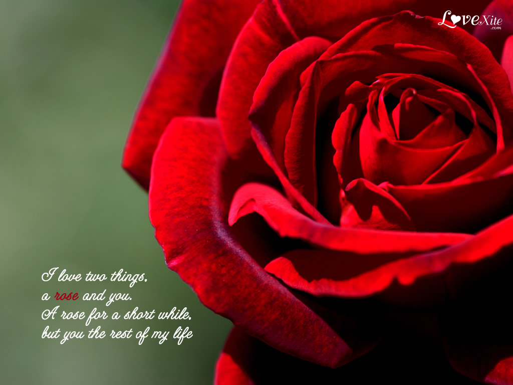 Romantic Love Wallpaper With Quotes