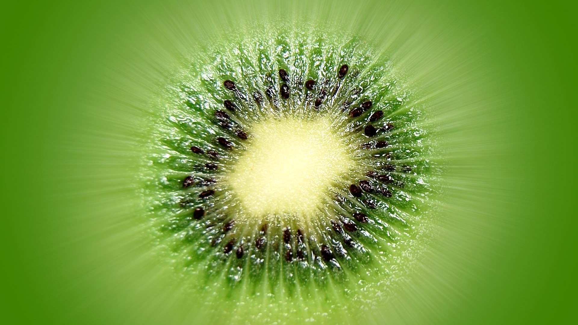 Kiwi Green Fruit Macro HD Wallpaper