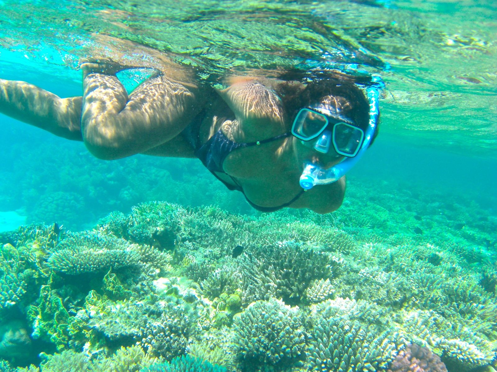 Sharm El Sheikh Snorkeling Trip Shaspo Tours Egypt