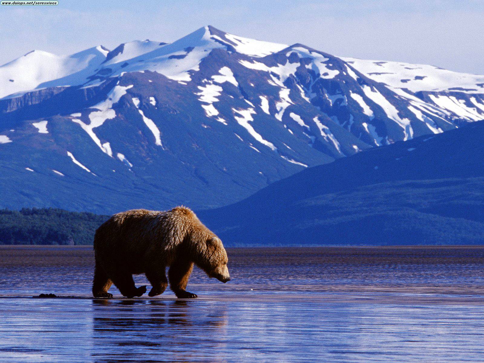 World Visits Alaska Largest State In The United States