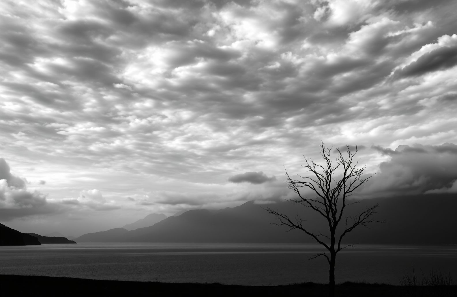 Black And White Hd Wallpaper
