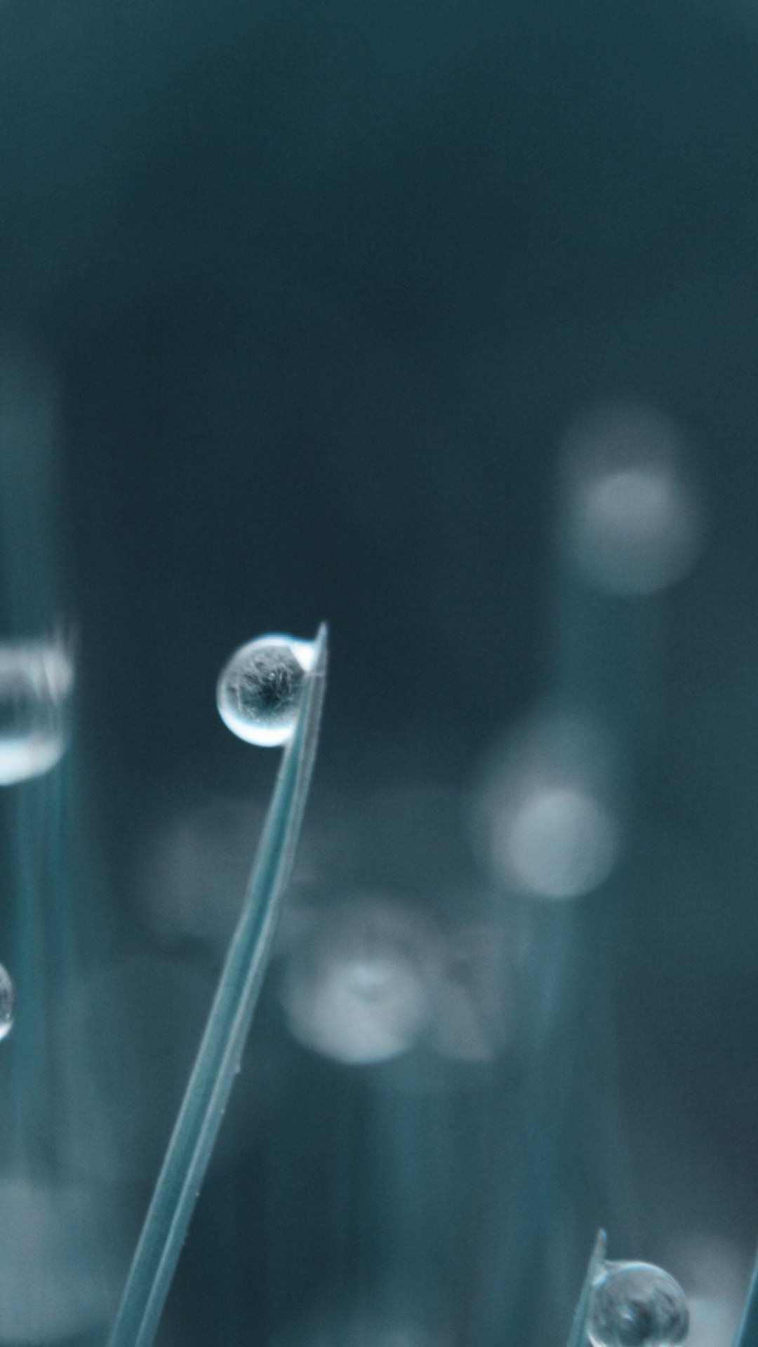 Tiny Water Drop On Grass iPhone Plus HD Wallpaper Ipod