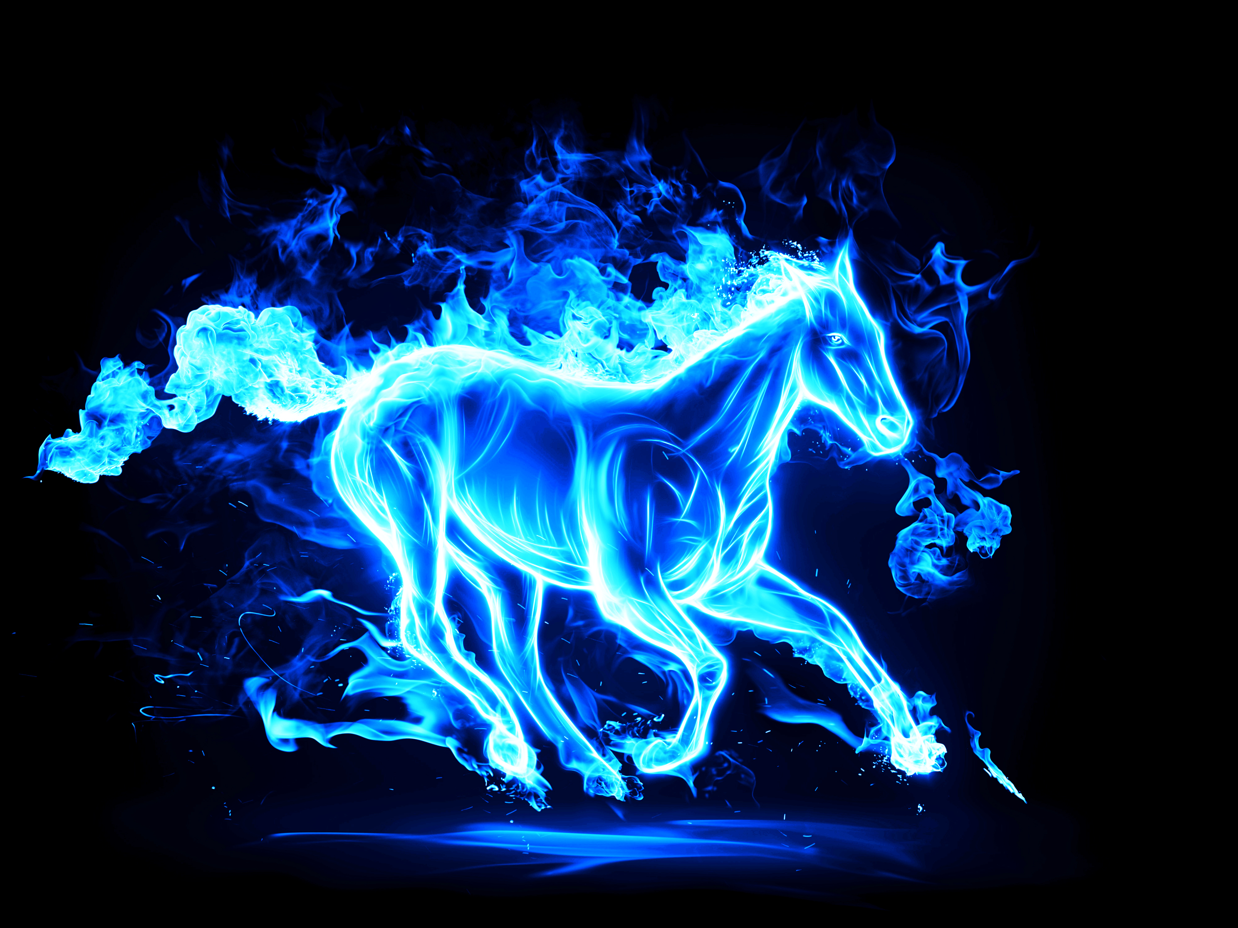 Horse Fire Animals 3d Graphics Wallpaper