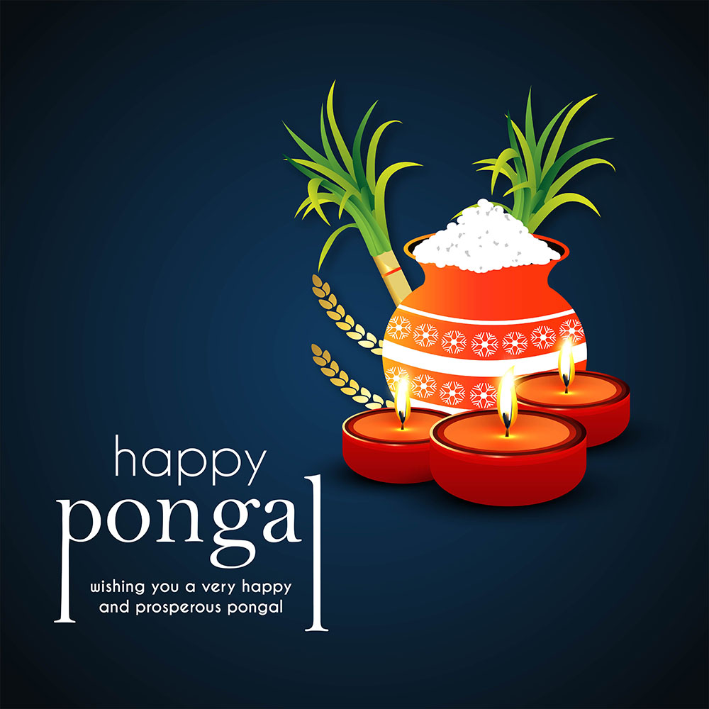 Happy Pongal Wishes Background HD Image With