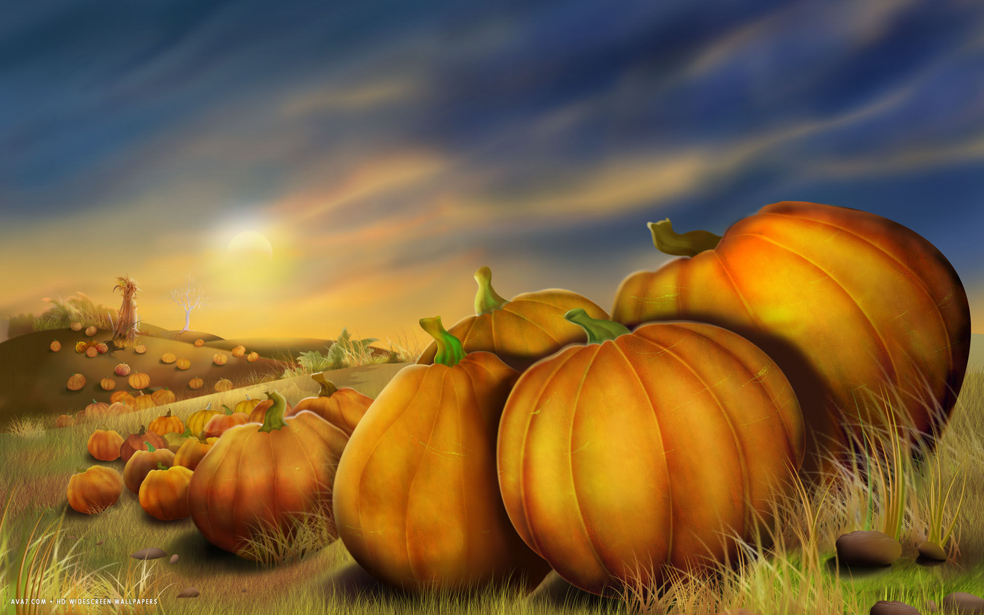 Thanksgiving Day Pumpkins Field Autumn Painting Holiday HD
