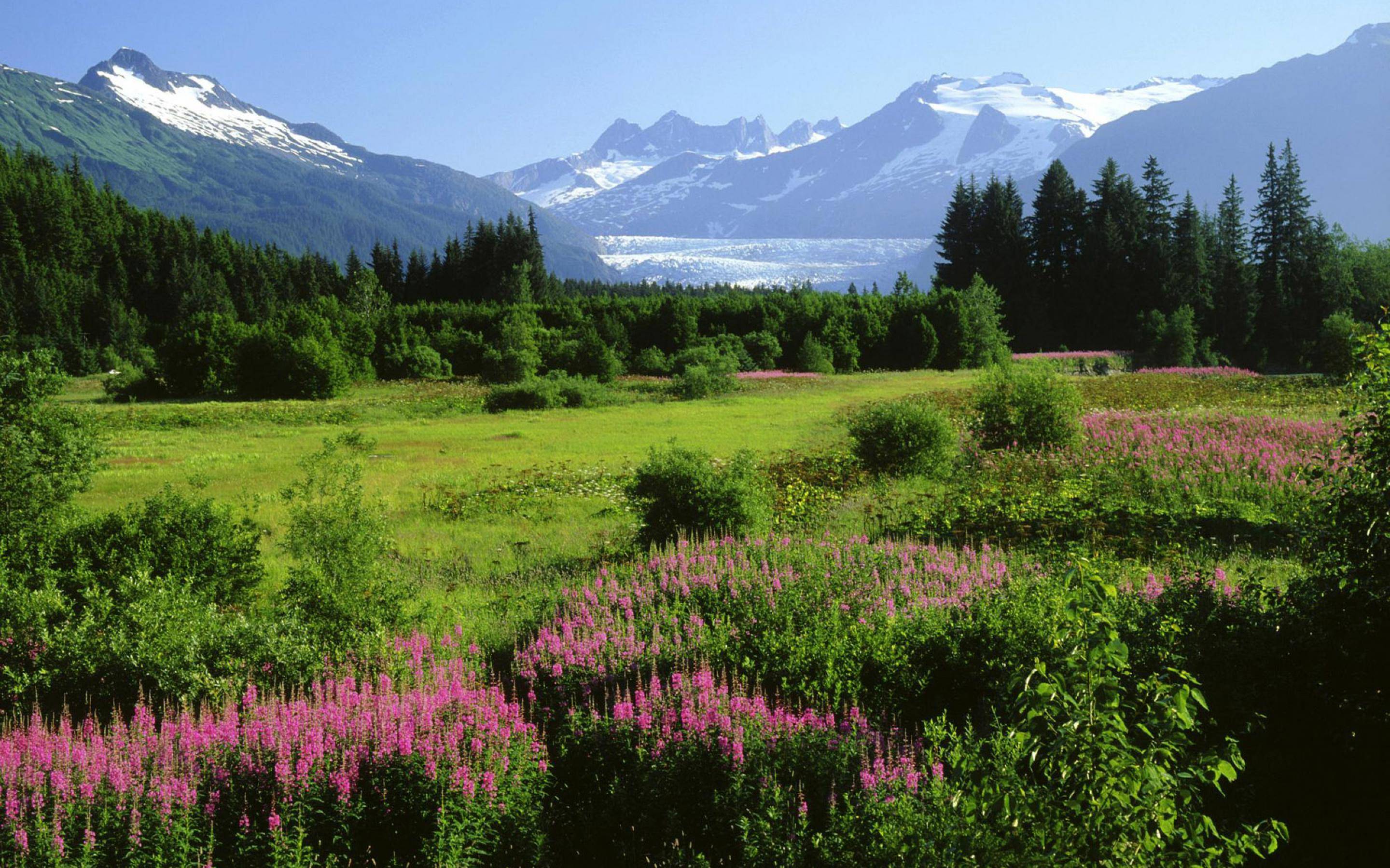 Alaska Background