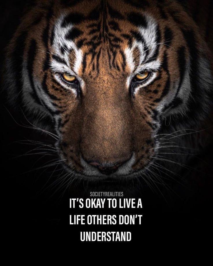 terryspady on Tiger wallpaper Warrior quotes