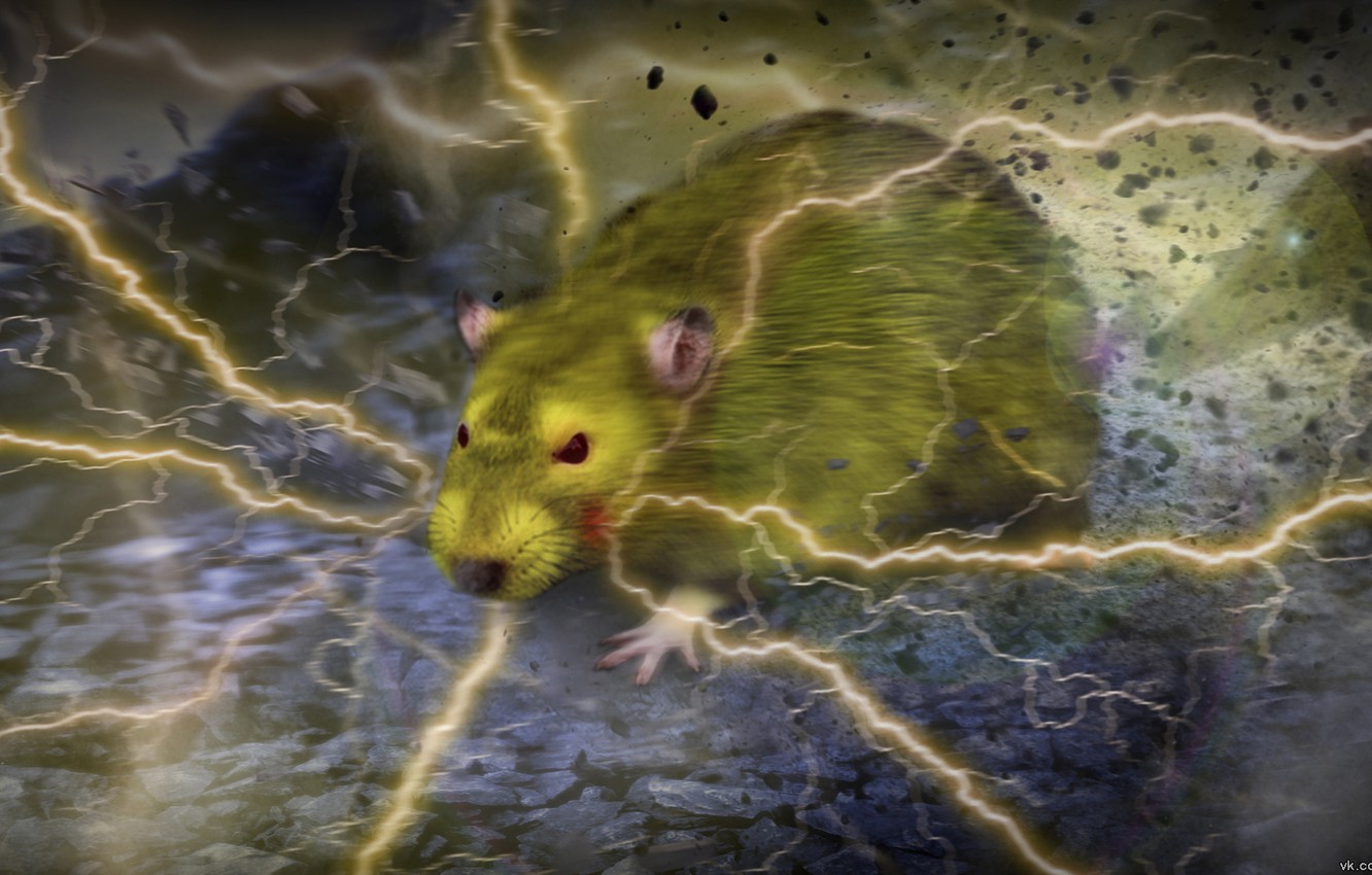 Wallpaper Fiction Realism Zipper Anime Pikachu Rat