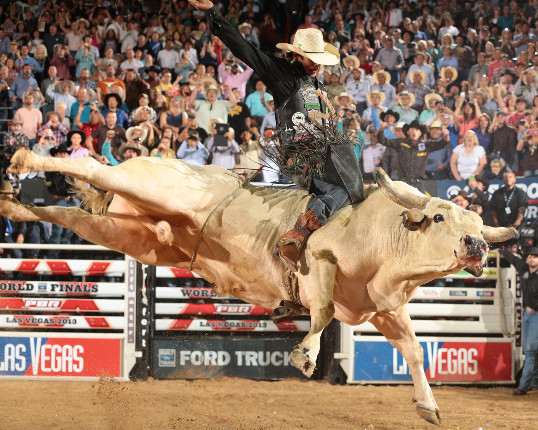 Rodeo Bull Riding Stock Vector  Adobe Stock