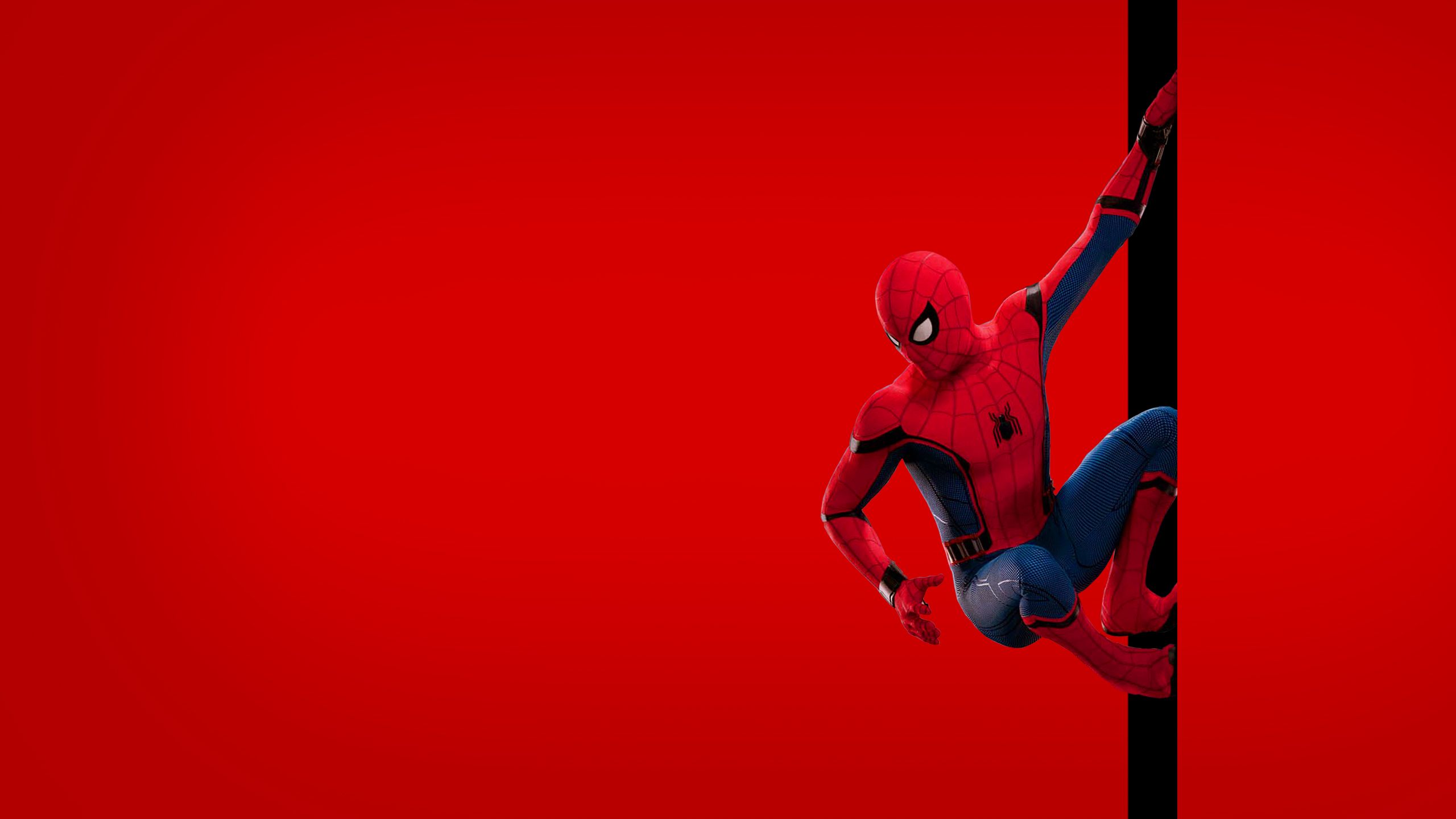 Spider Man Homeing Puter Wallpaper Top