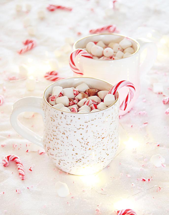 Nutella Peppermint Hot Chocolate Spiked Or Not Recipe A