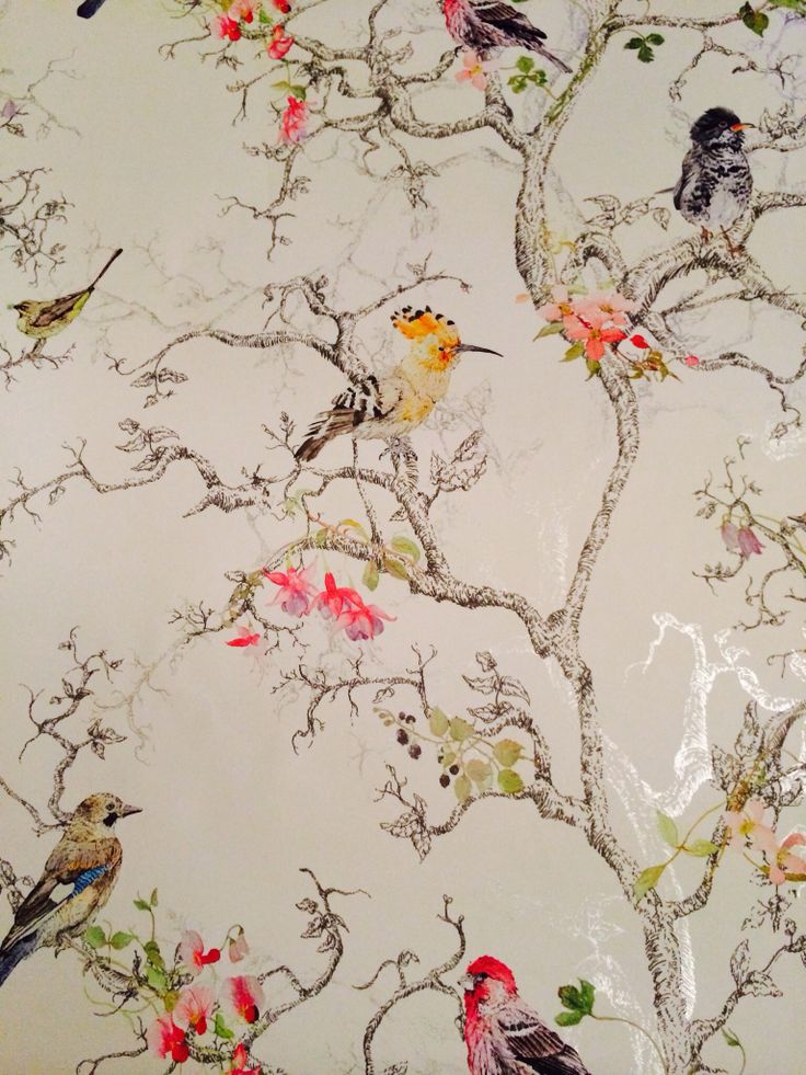 Wallpaper Birds I Love This One New House Ideas