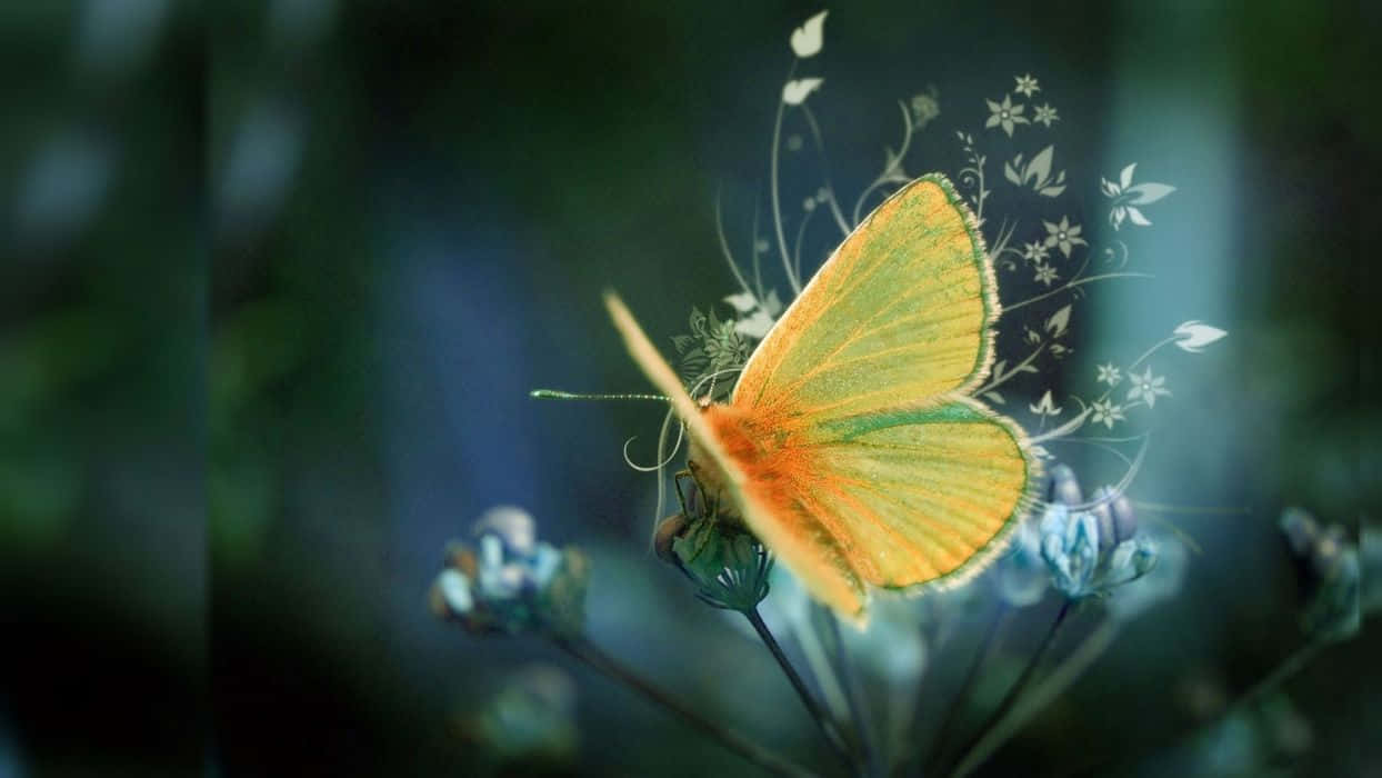 Captured In Nature Wallpaper