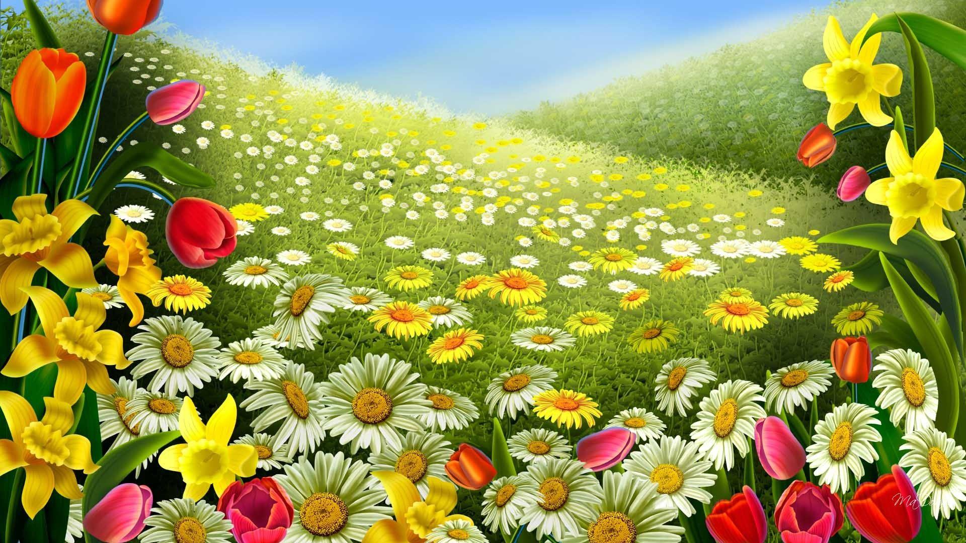 Great Spring Nature Wallpaper Desktop HD