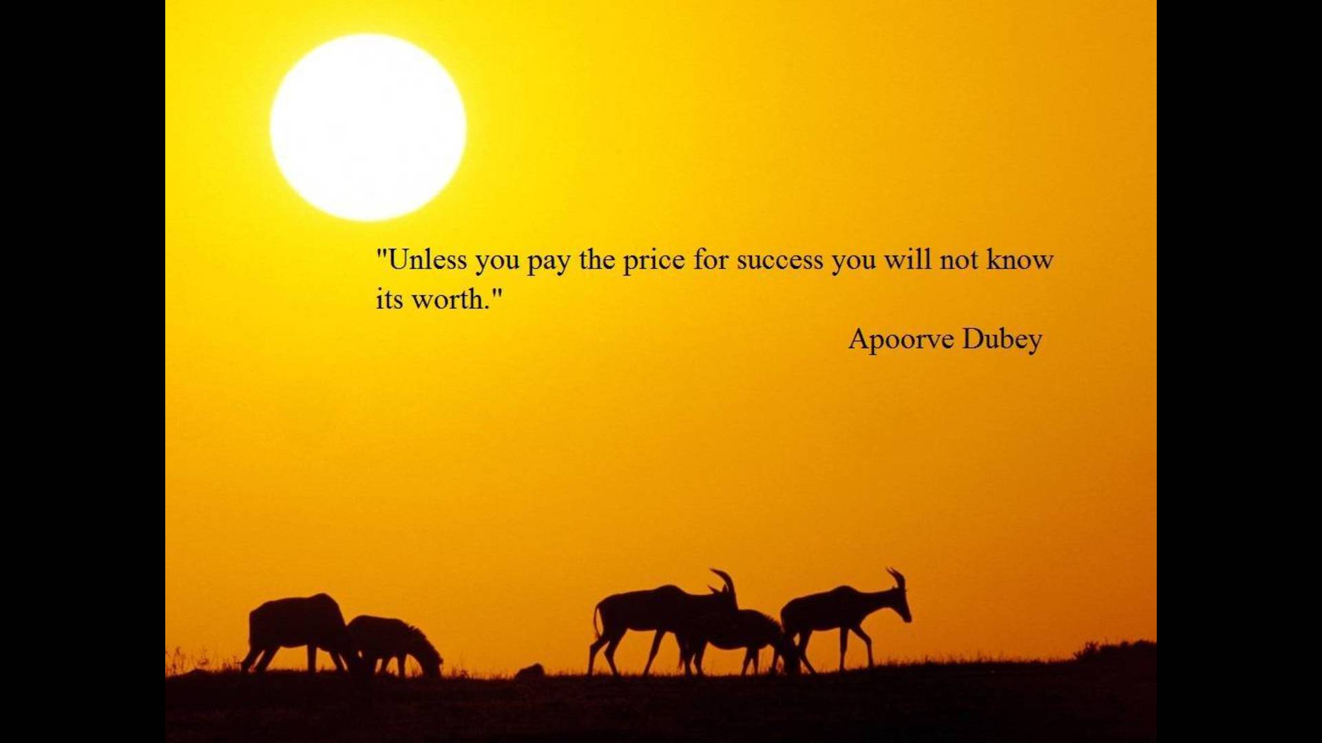 Quotes About Success Wallpaper That Make Sense