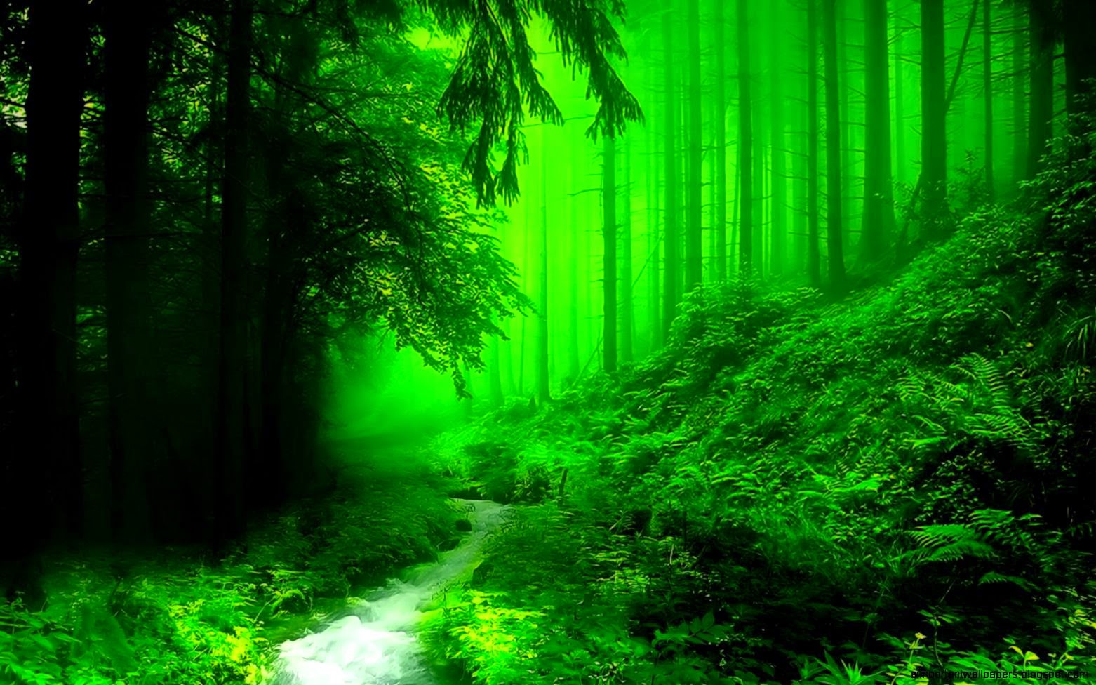 Beautiful Green River Forest HD Wallpaper Important