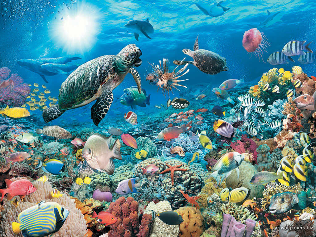 Underwater Wallpaper Art Desktop