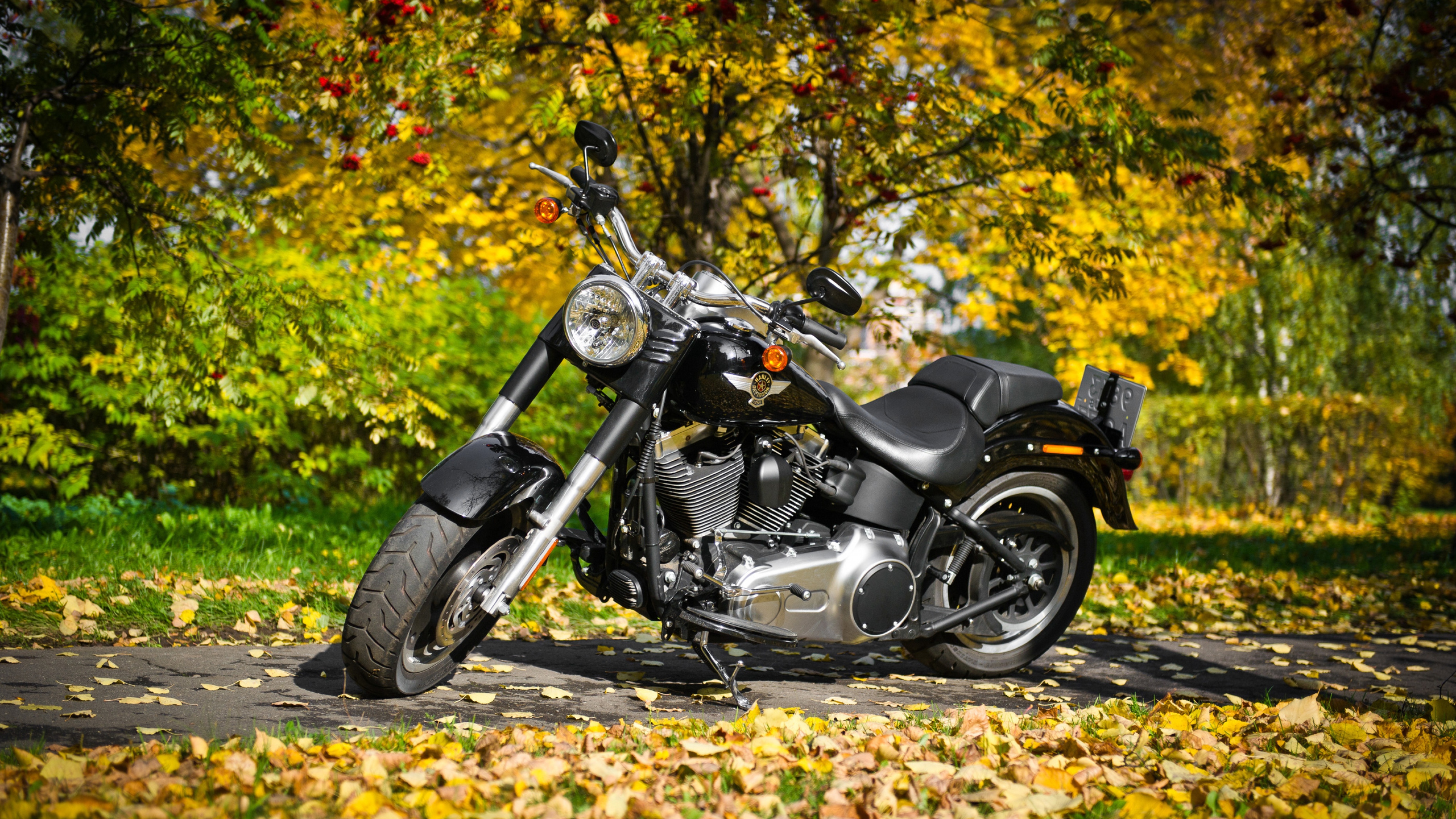 A sleek black Harley Davidson motorcycle parked on a scenic autumn road, surrounded by vibrant fall foliage