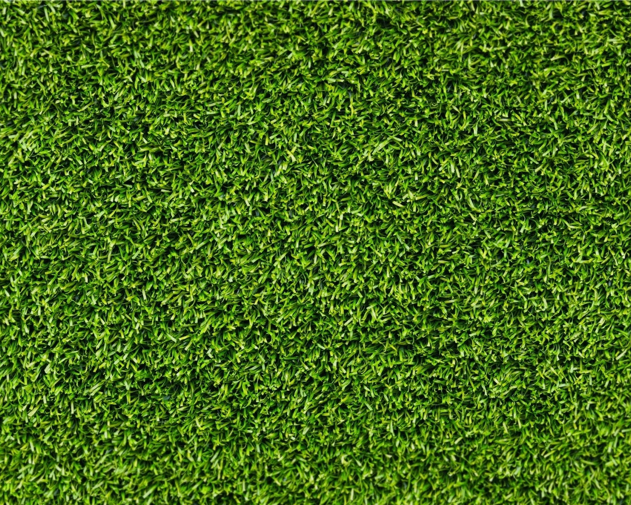 Green Grass Texture Wallpaper In Textures With All