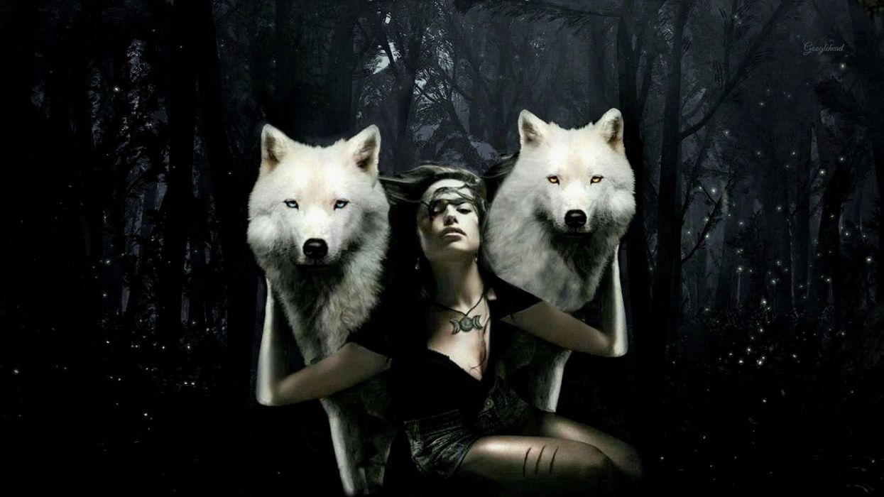 Artistic Forest Girl Manipulation White Wolf Woman Wallpaper