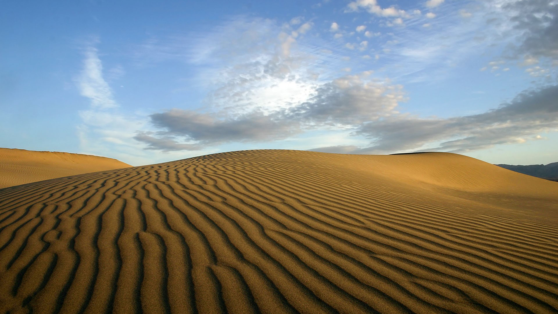 Desert Wallpaper