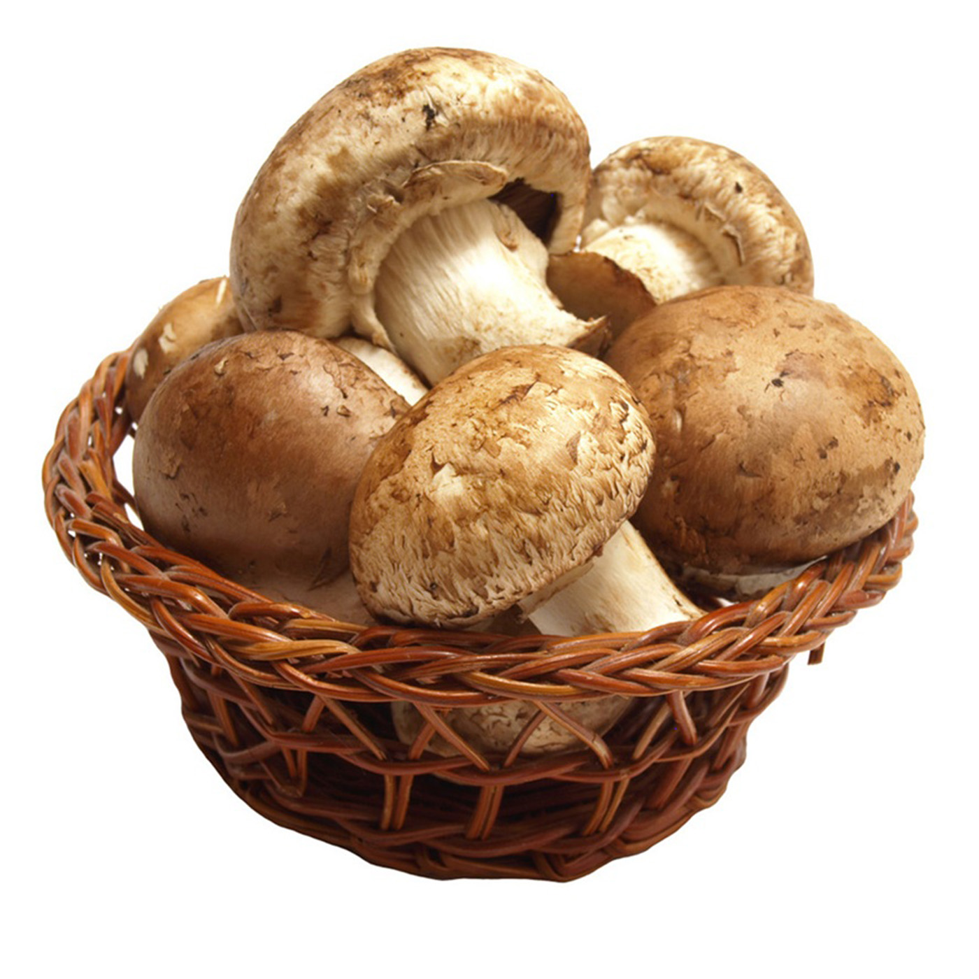 Food Mushrooms   high quality background pictures 1400x1400