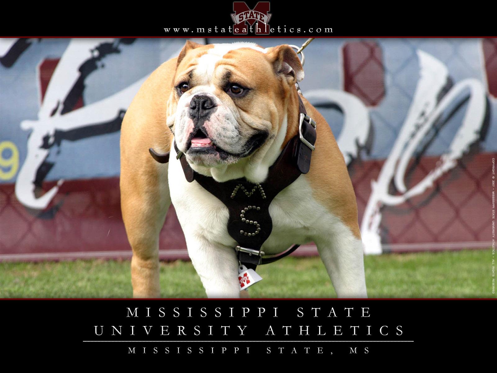 Mississippi State University Logo Wallpaper Athletic
