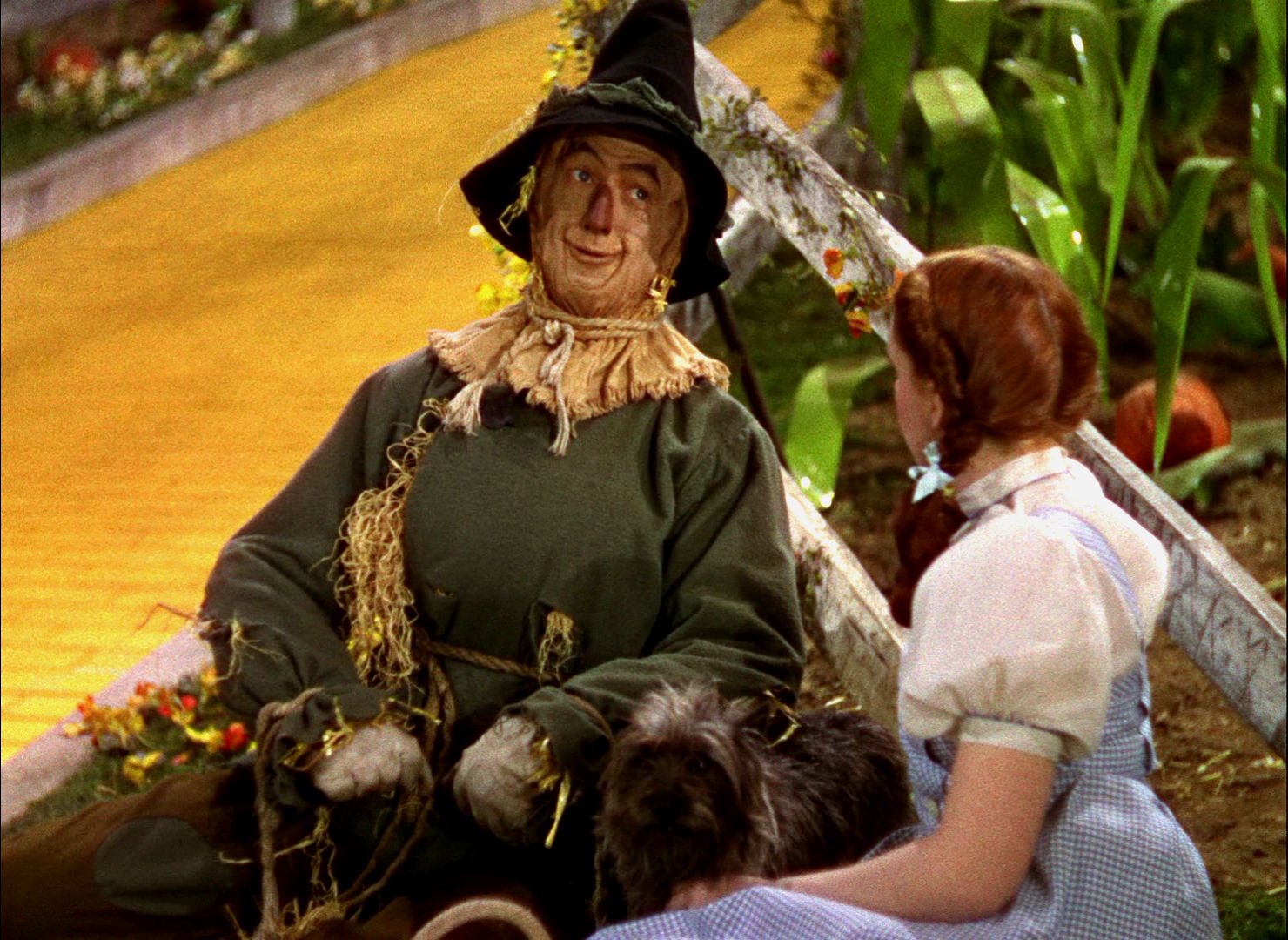 Wizard Of Oz Puter Wallpaper Weddingdressin