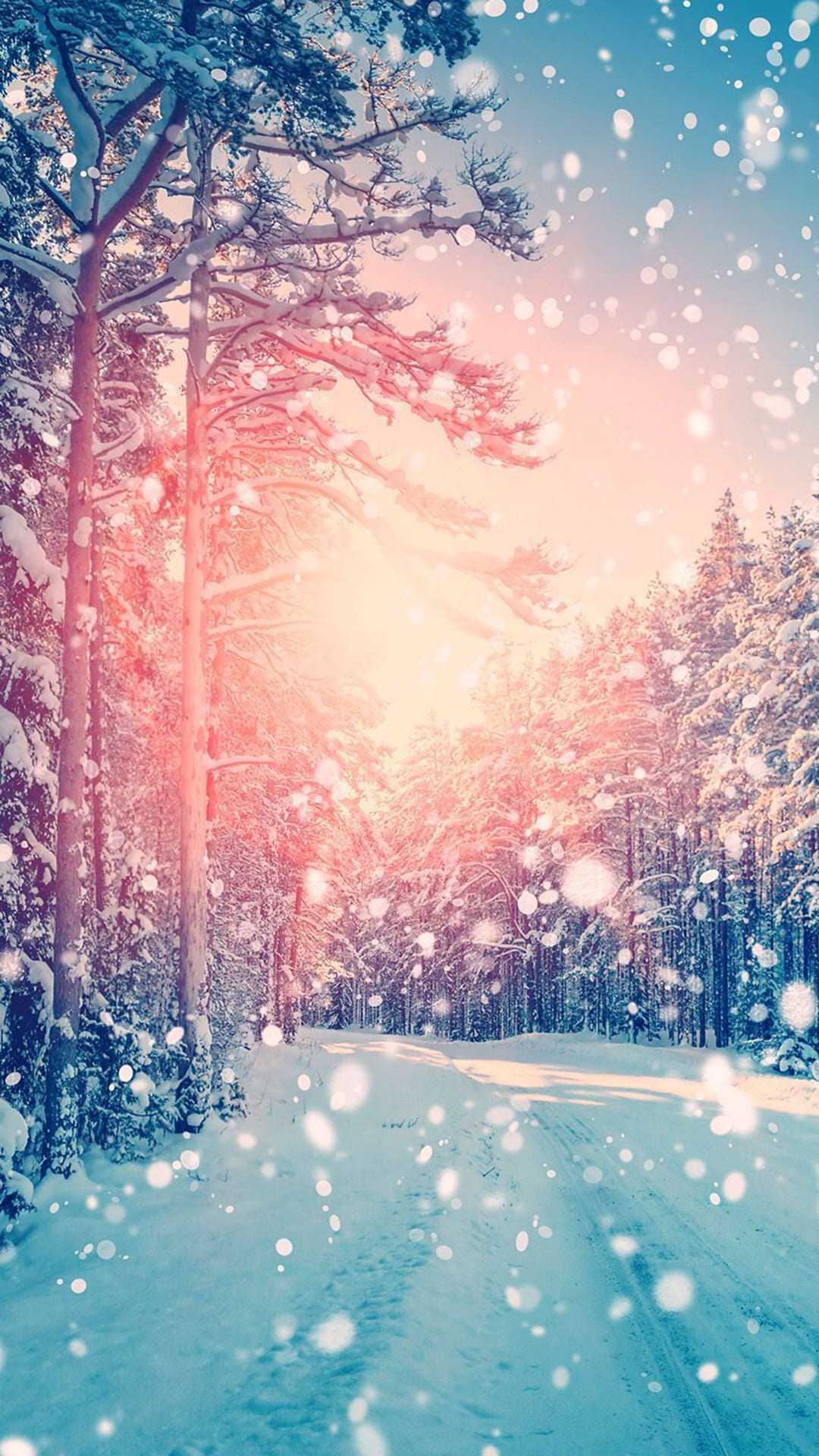 Snow iPhone Wallpaper