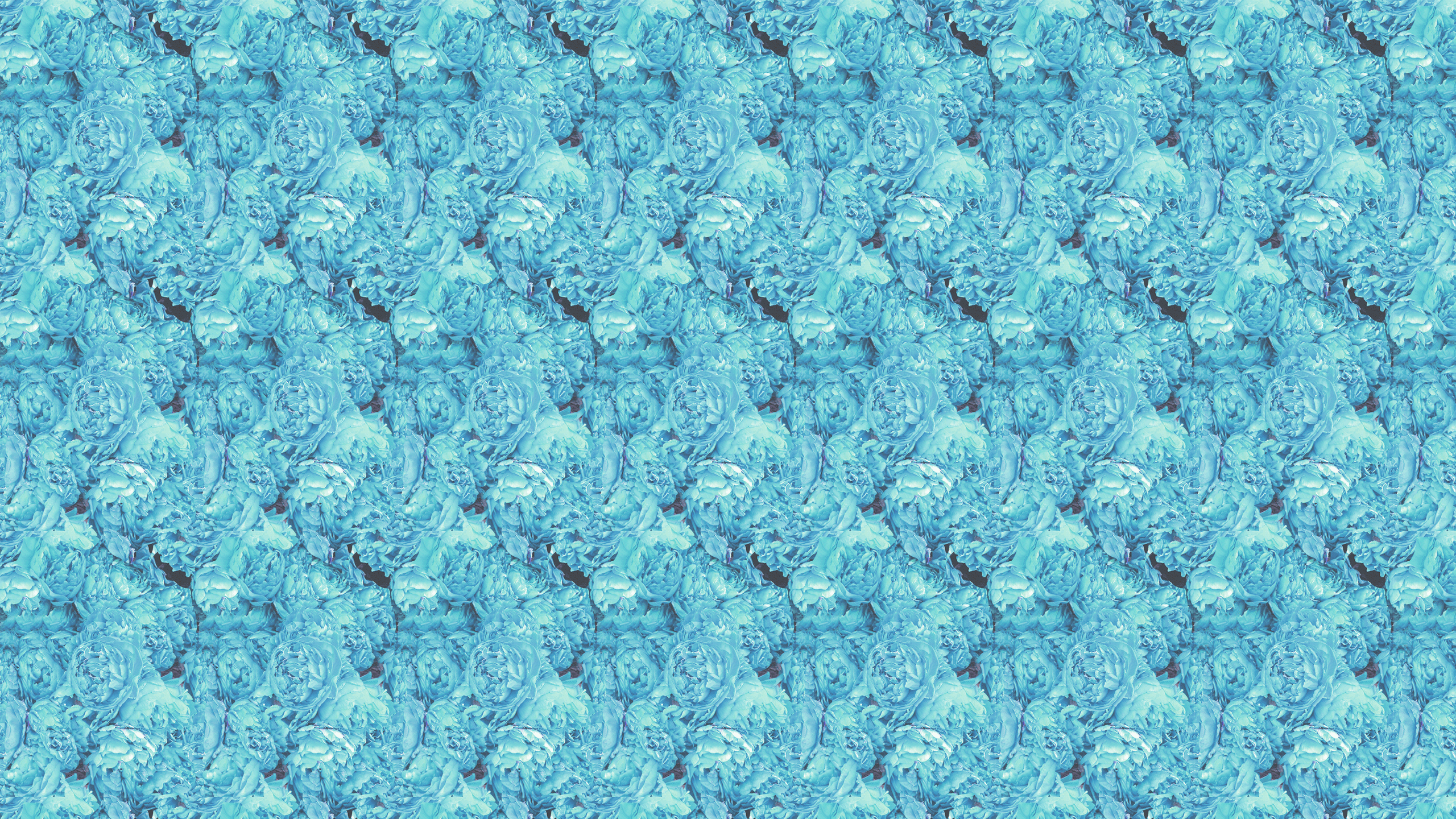 this Blue Hydrangea Desktop Wallpaper is easy Just save the wallpaper 2560x1440