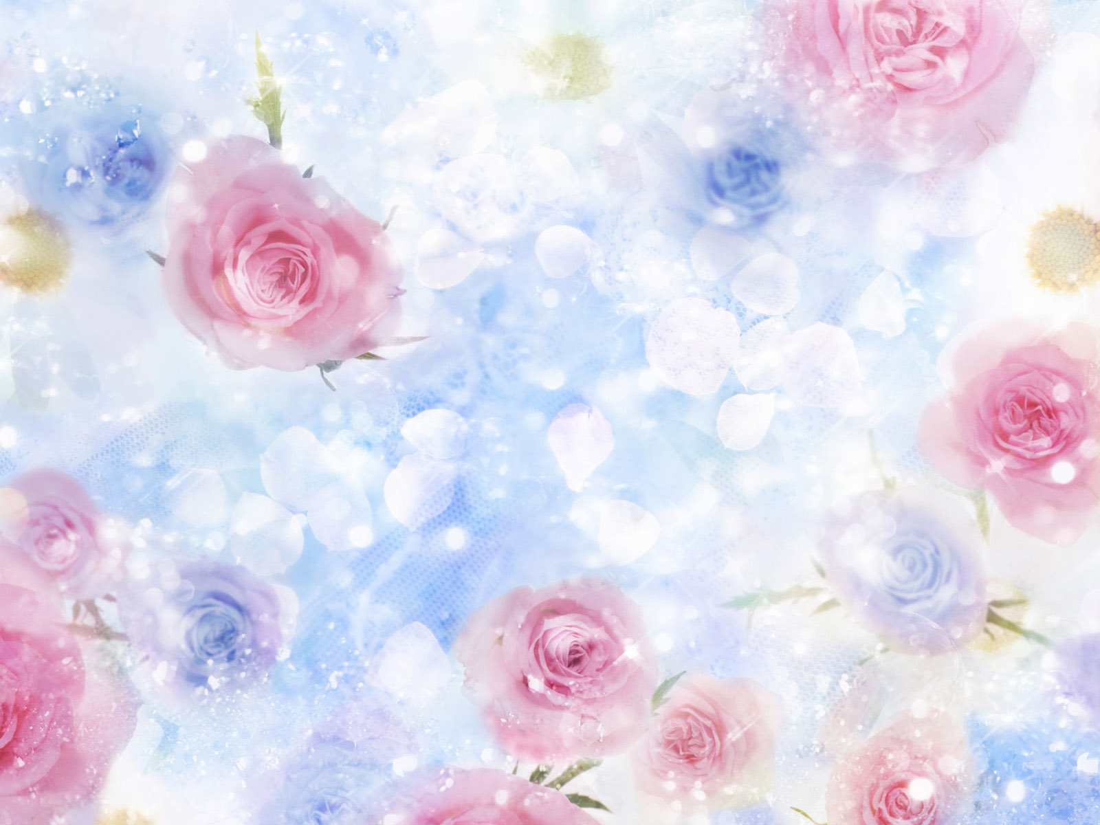 Beautiful Flowers Background Wallpaper