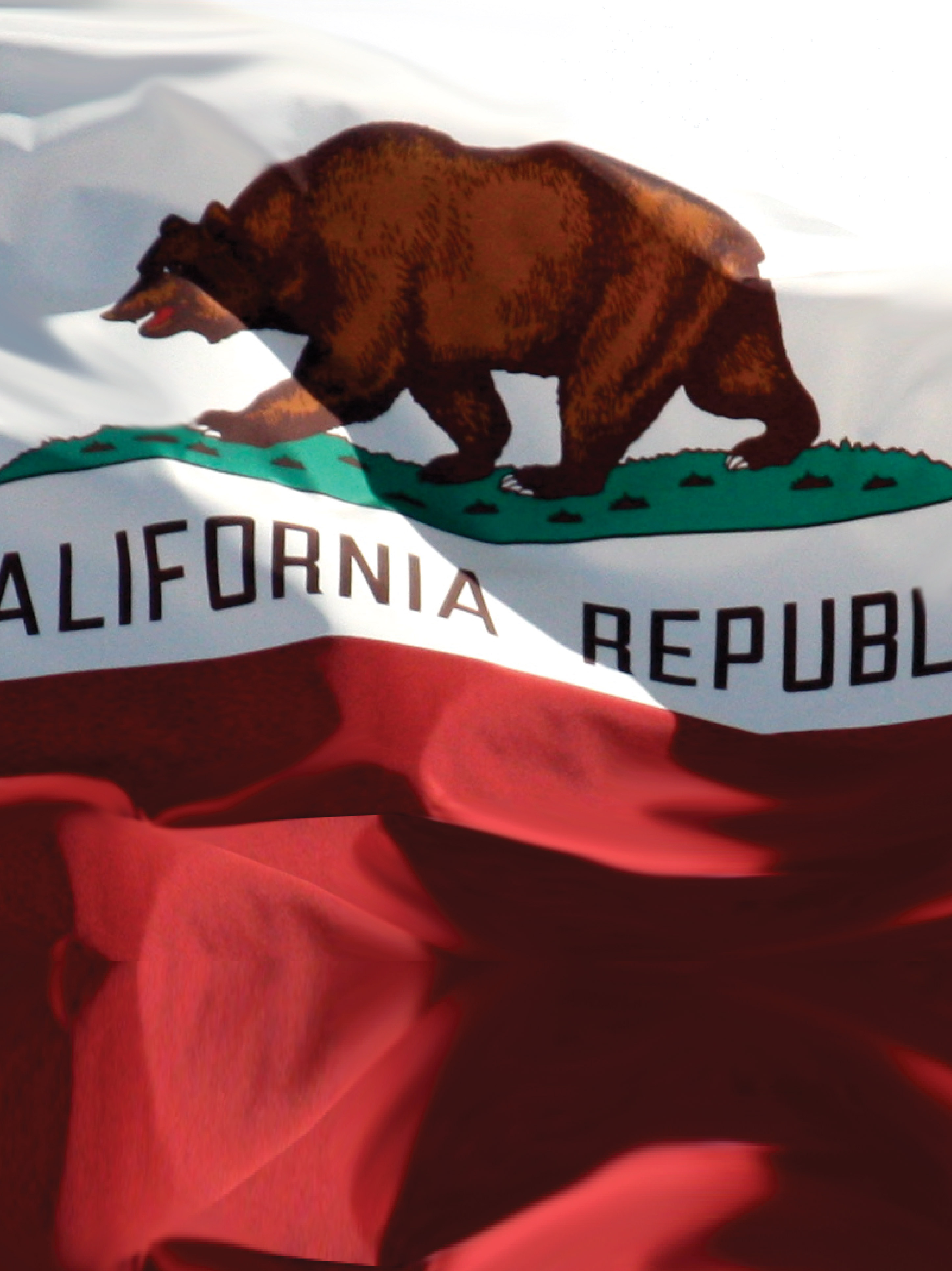 California Republic 3d By Nexgen Skins Creating Thick Dimensional