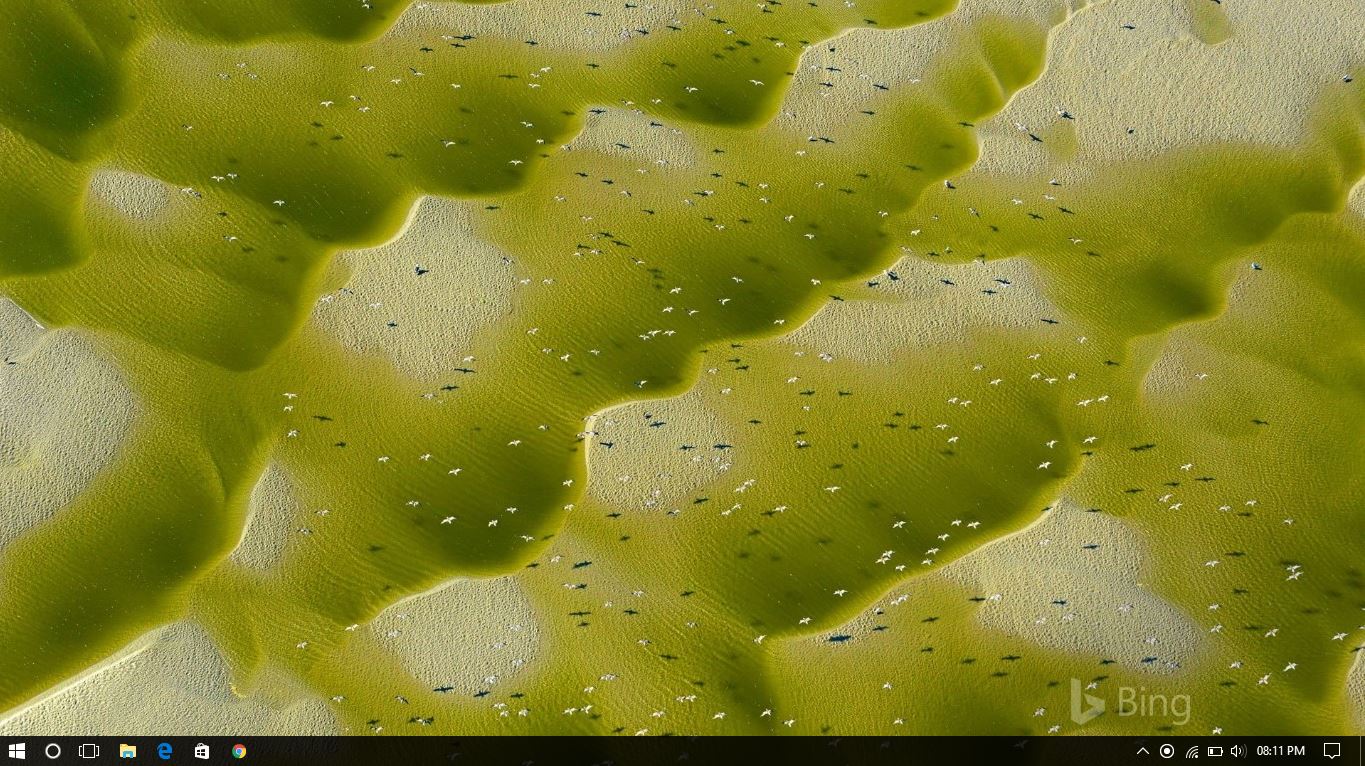 Free download Automatically Change Wallpaper Daily With Amazing